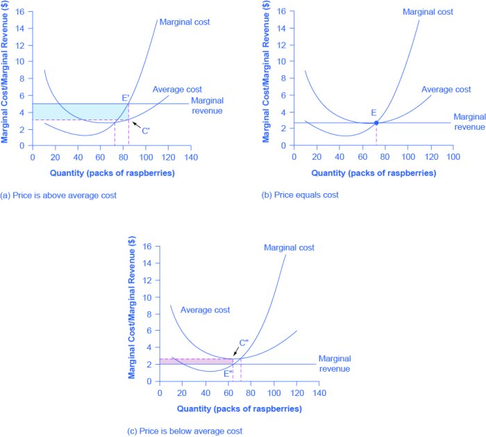 Calculating Profits and Losses | Microeconomics