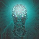 Board 1080P, 2K, 4K, 5K HD wallpapers free download | Wallpaper Flare